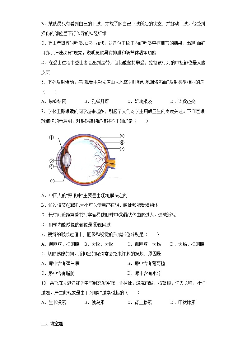2020-2021学年人教版生物七年级下册第六章《人体生命活动的调节》测试卷（含答案）02