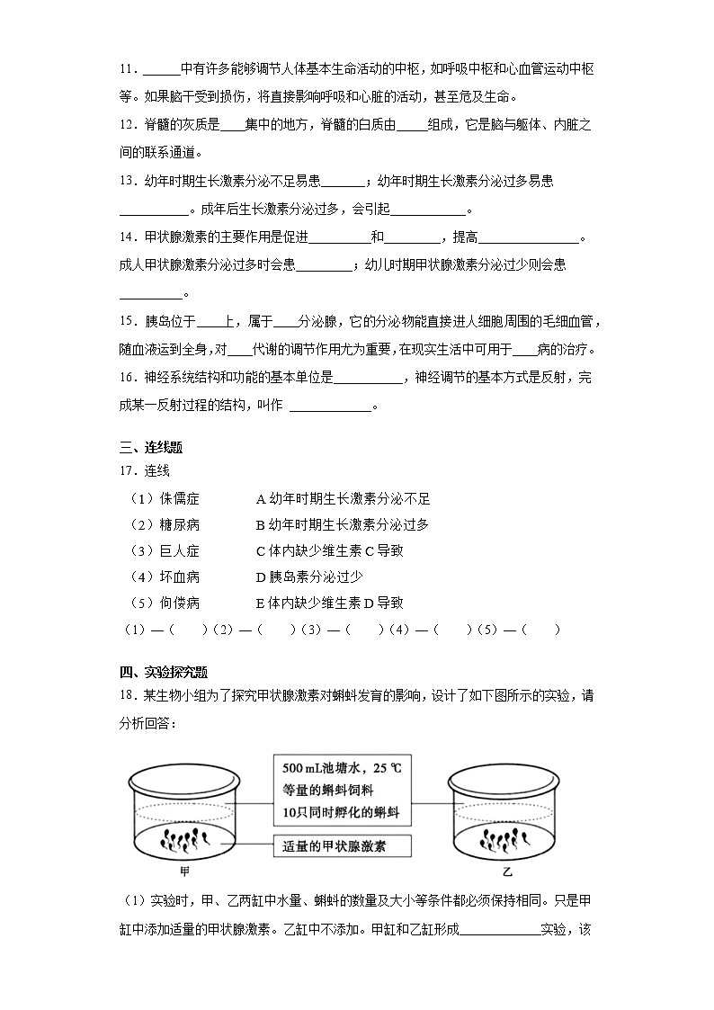 2020-2021学年人教版生物七年级下册第六章《人体生命活动的调节》测试卷（含答案）03