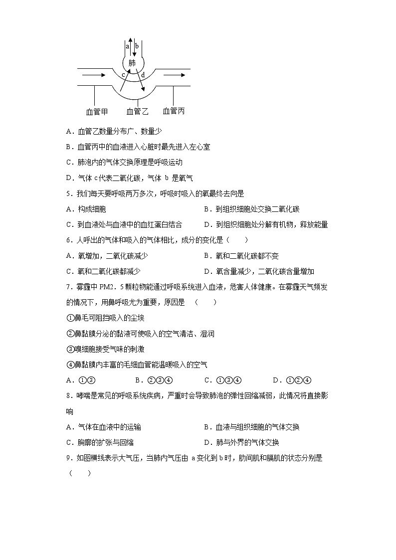 2020-2021学年人教版生物七年级下册第三章《人体的呼吸》测试卷（含答案）02
