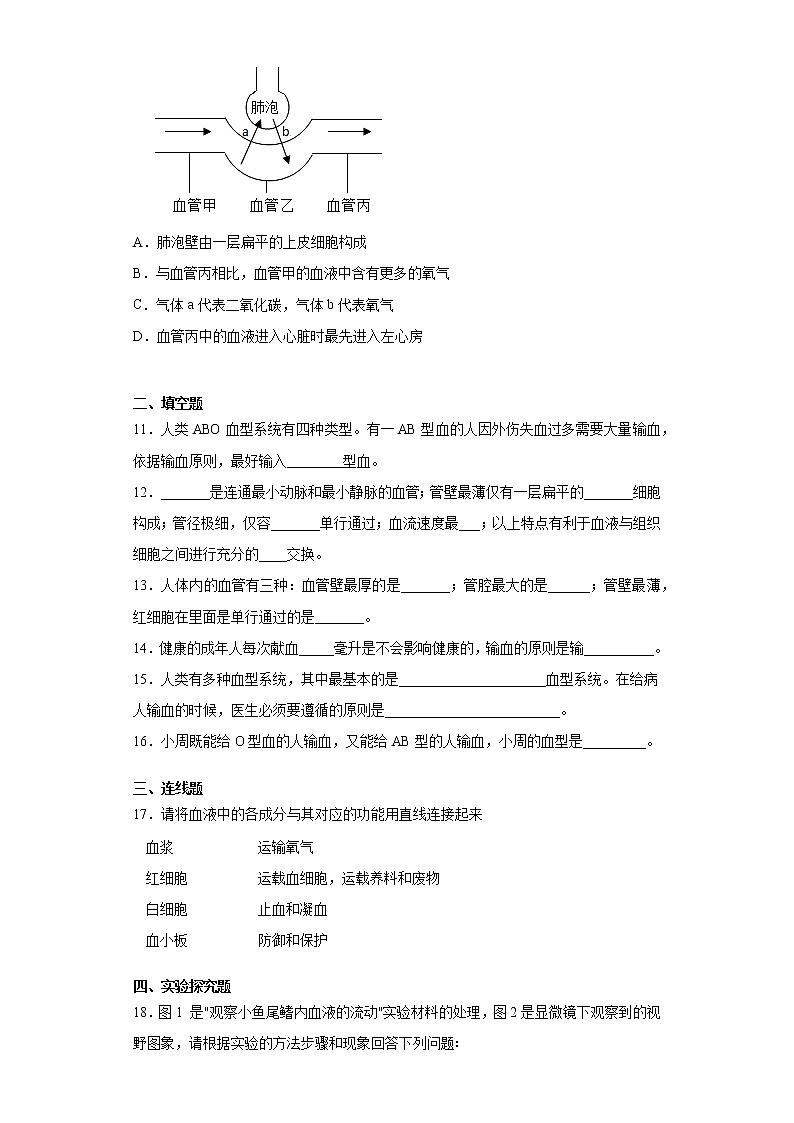 2020-2021学年人教版生物七年级下册第四章《人体内物质的运输》测试卷（含答案）03