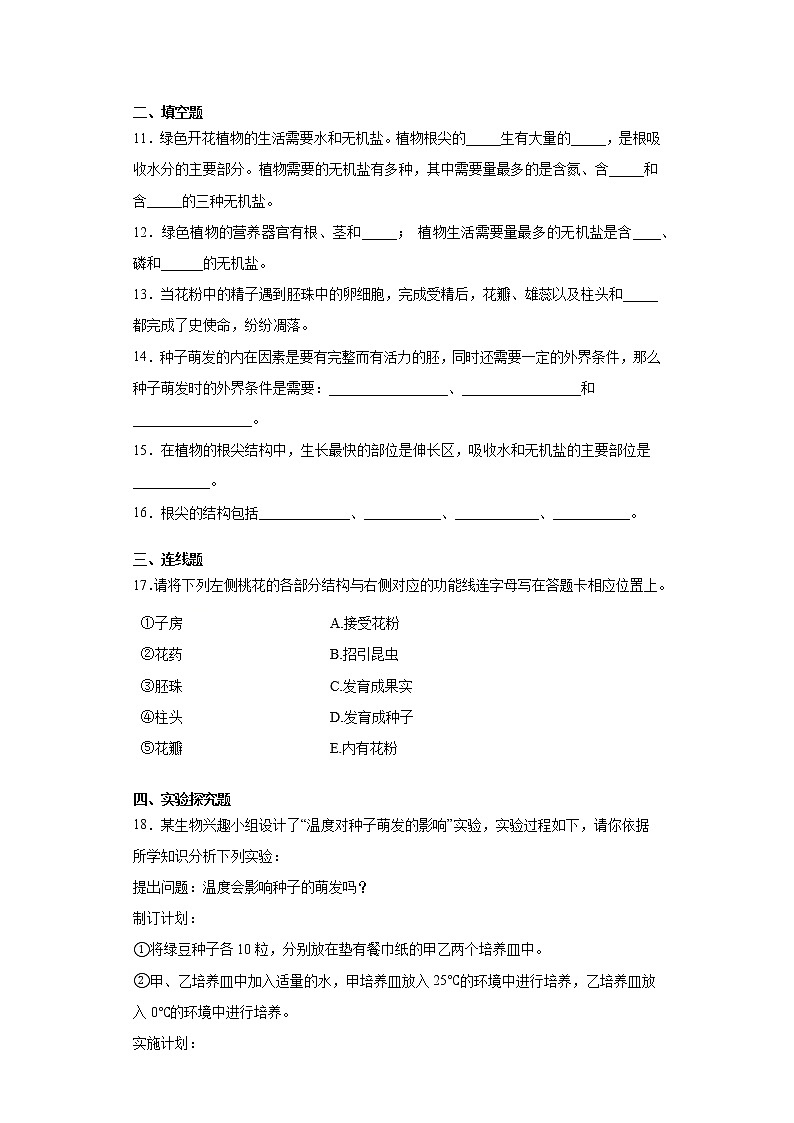 2020-2021学年鲁科版生物六年级下册第二章 《被子植物的一生》测试卷（含答案）02