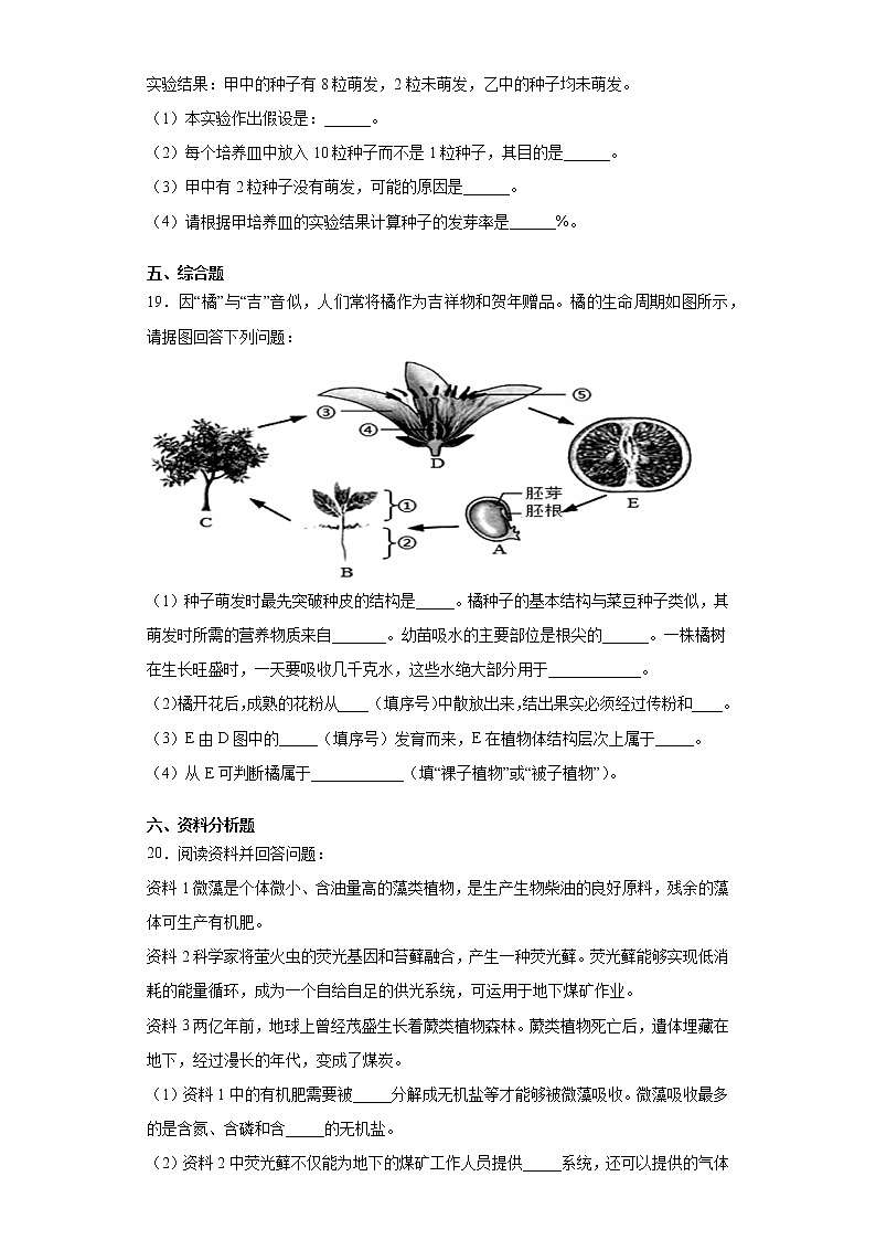 2020-2021学年鲁科版生物六年级下册第二章 《被子植物的一生》测试卷（含答案）03