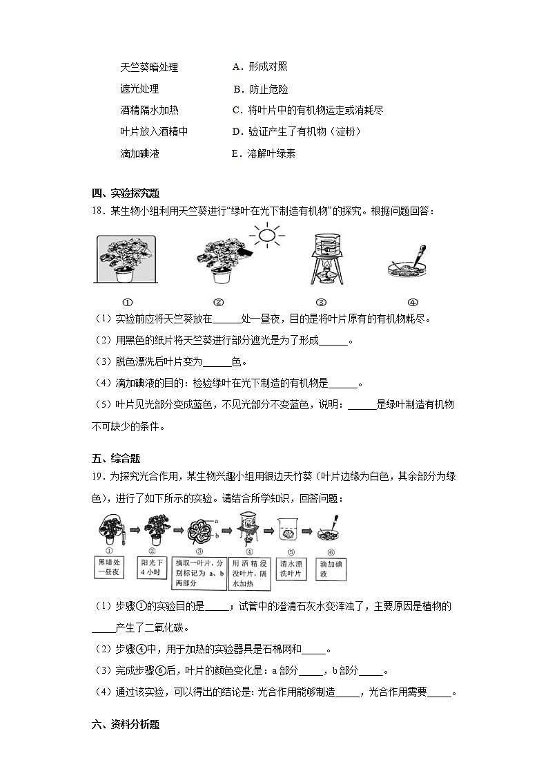 2020-2021学年鲁科版生物六年级下册第四章《绿色植物是生物圈中有机物的制造者》测试卷（含答案）03