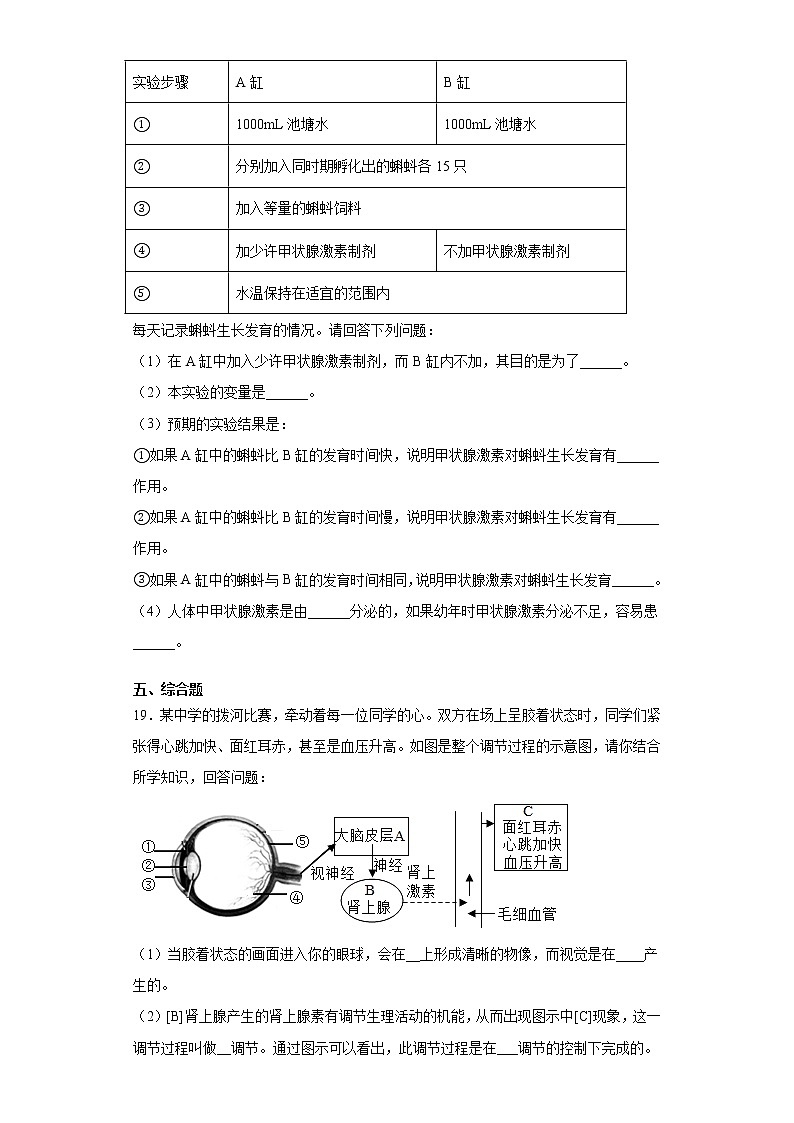 2020-2021学年苏教版生物 七年级下册第十二章《人体生命活动的调节》测试卷（含答案）03