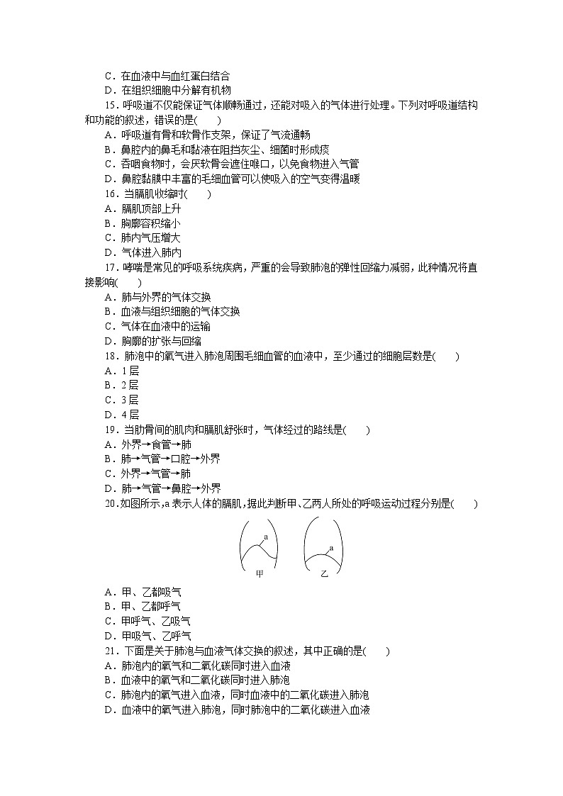 人教版生物七年级下册第三章《人体的呼吸》检测卷及答案03