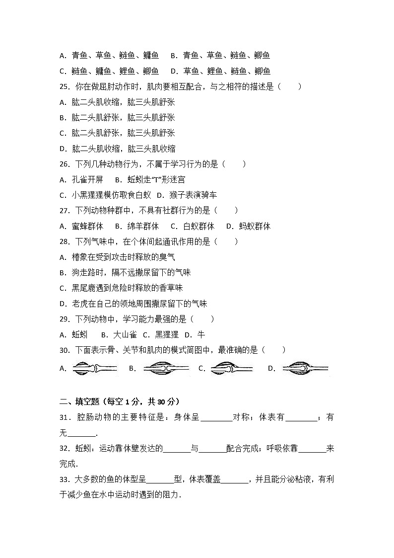 广西南宁市马山县-学八级（上）期中生物试卷（word版含答案解析）03