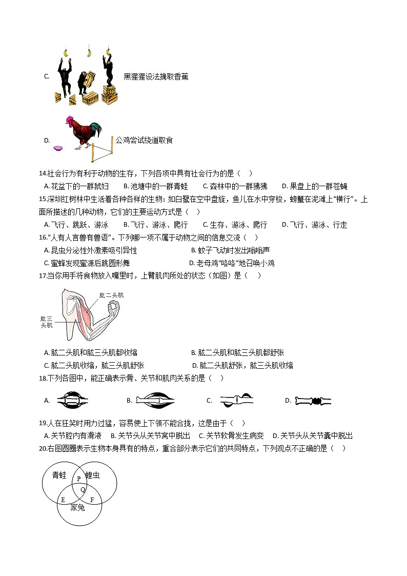 广东省深圳市罗湖区-学八级上学期生物期末考试试卷（解析版）03