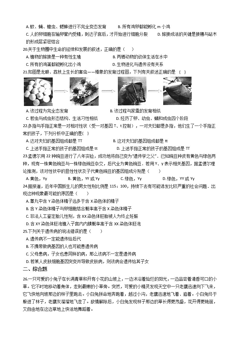 河南省商丘市柘城县牛城二中-学八级上学期生物期末考试试卷（解析版）B卷第3页