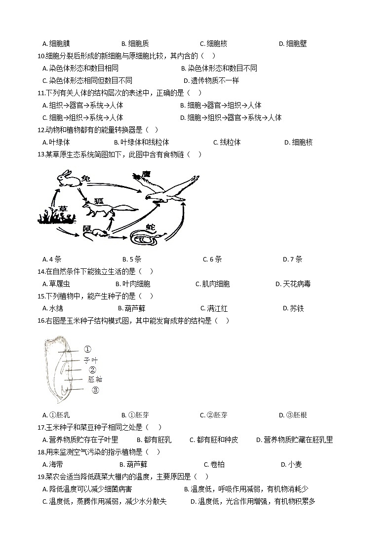 广东省深圳市罗湖区-学七级上学期生物期末考试试卷（解析版）02