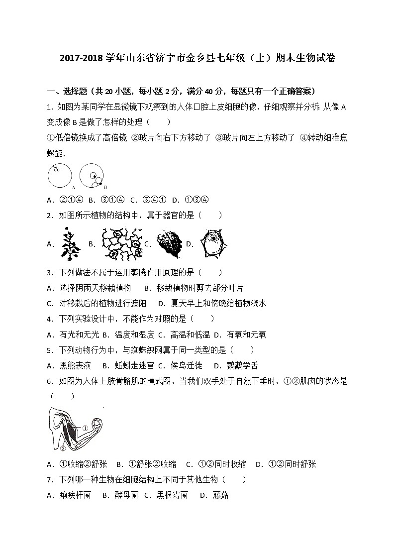 山东省济宁市金乡县-学七级上学期期末教学质量检测生物试卷（WORD版）01