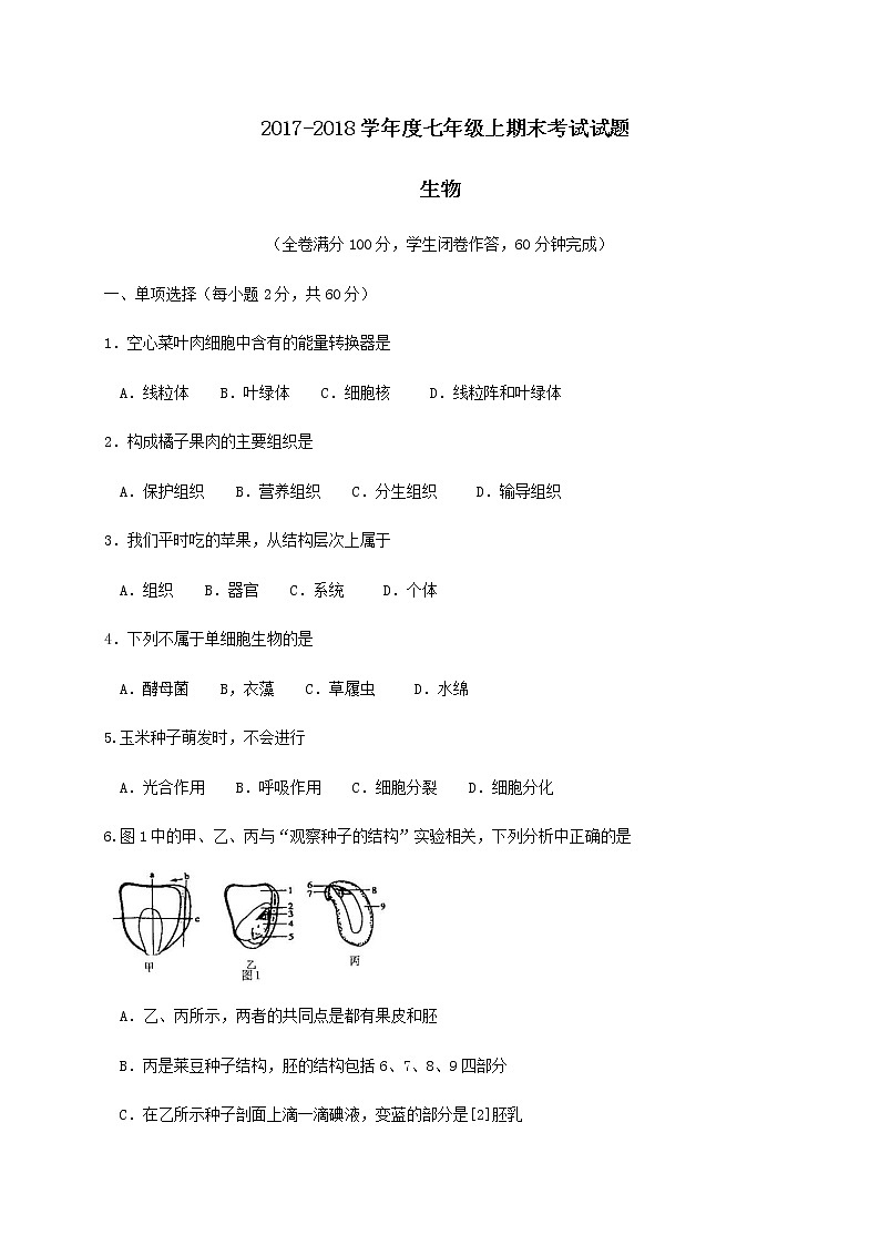 辽宁省辽阳中学-学七级生物上学期期末考试试题01