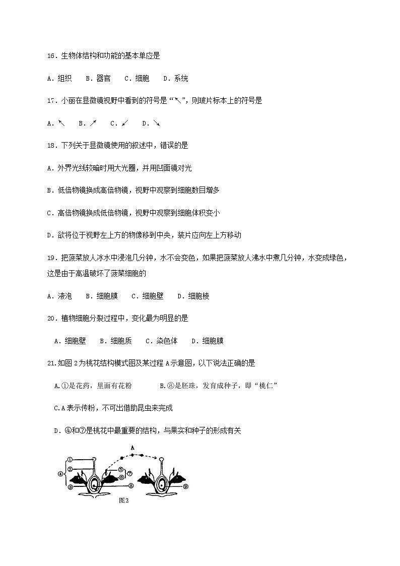 辽宁省辽阳中学-学七级生物上学期期末考试试题03