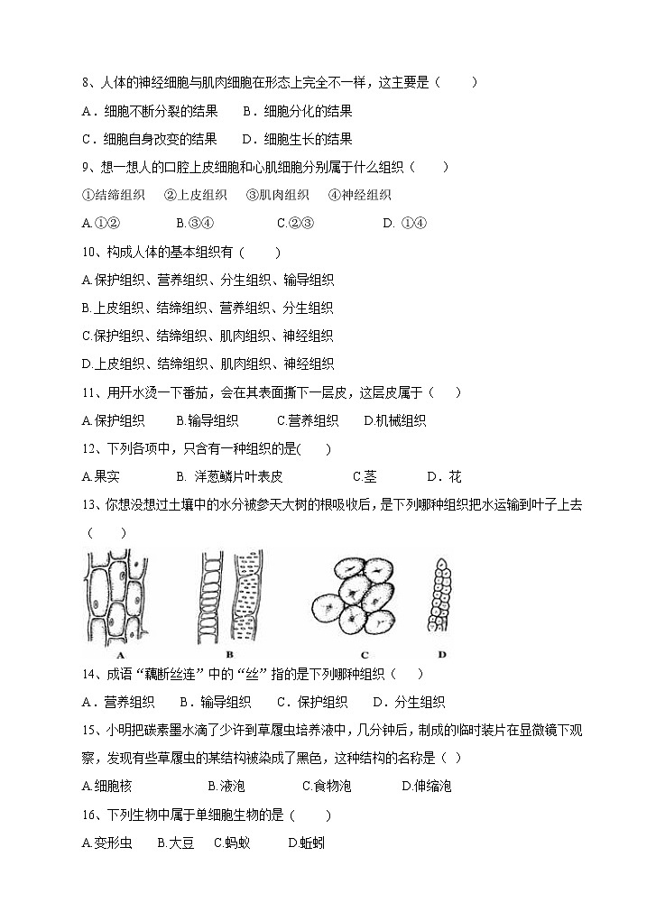 七级上学期生物人教版单元测试题（四） 第二章 细胞怎样构成生物体（含答案）02