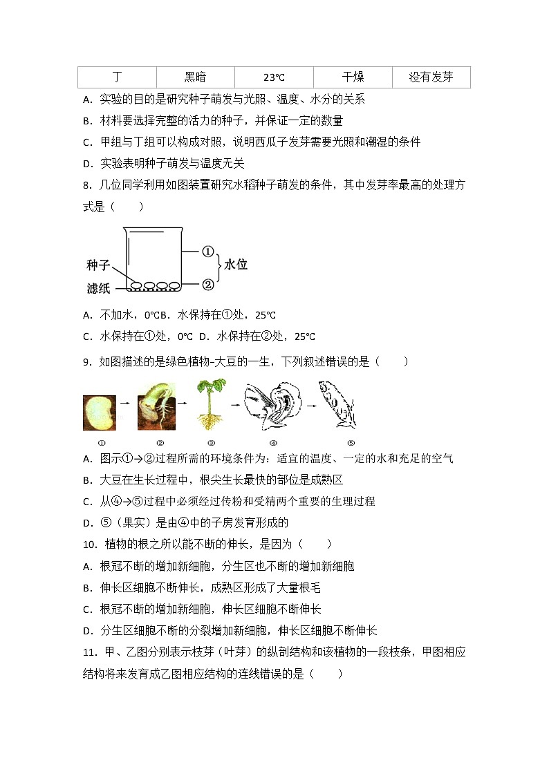 山东省临沂市费县第二中学-学上学期七级上册第三单元第二章被子植物的一生单元检测题02