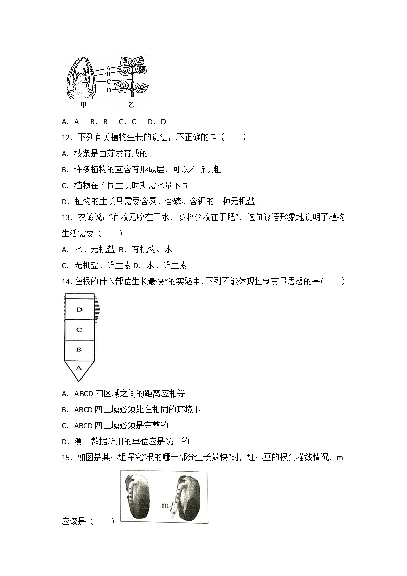 山东省临沂市费县第二中学-学上学期七级上册第三单元第二章被子植物的一生单元检测题03