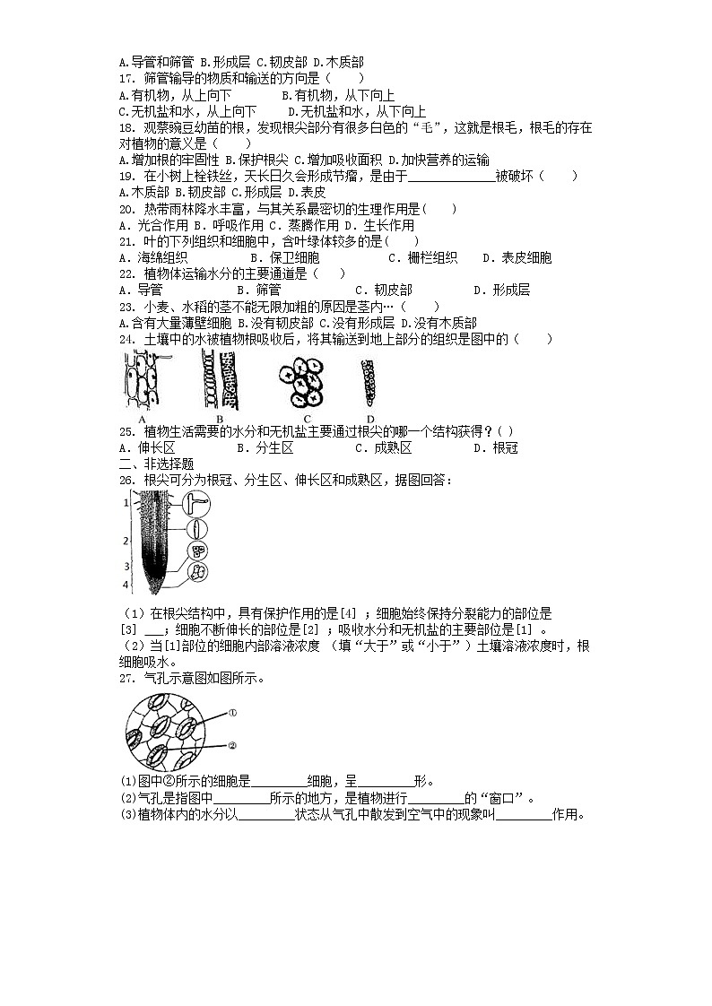 -学七级生物人教版上册 第3单元 第3单元 第3章 绿色植物与生物圈的水循环 单元测试题02
