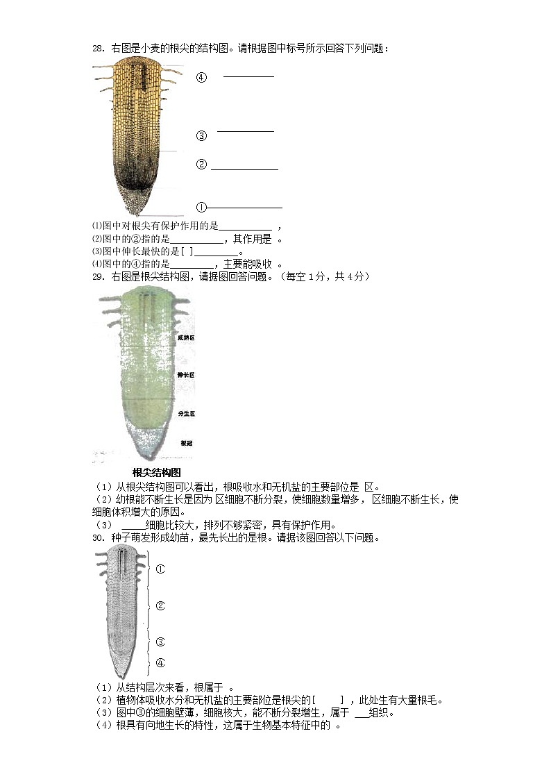 -学七级生物人教版上册 第3单元 第3单元 第3章 绿色植物与生物圈的水循环 单元测试题03