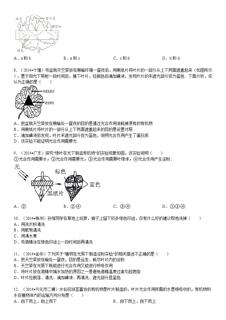 人教版七级生物上册 第3单元第4章 绿色植物是生物圈中有机物的制造者 新题训练与解析02