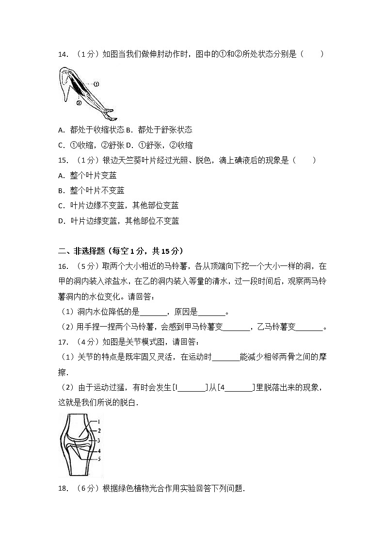 江西省吉安市万安县-学八级（上）期末生物试卷（解析版）03