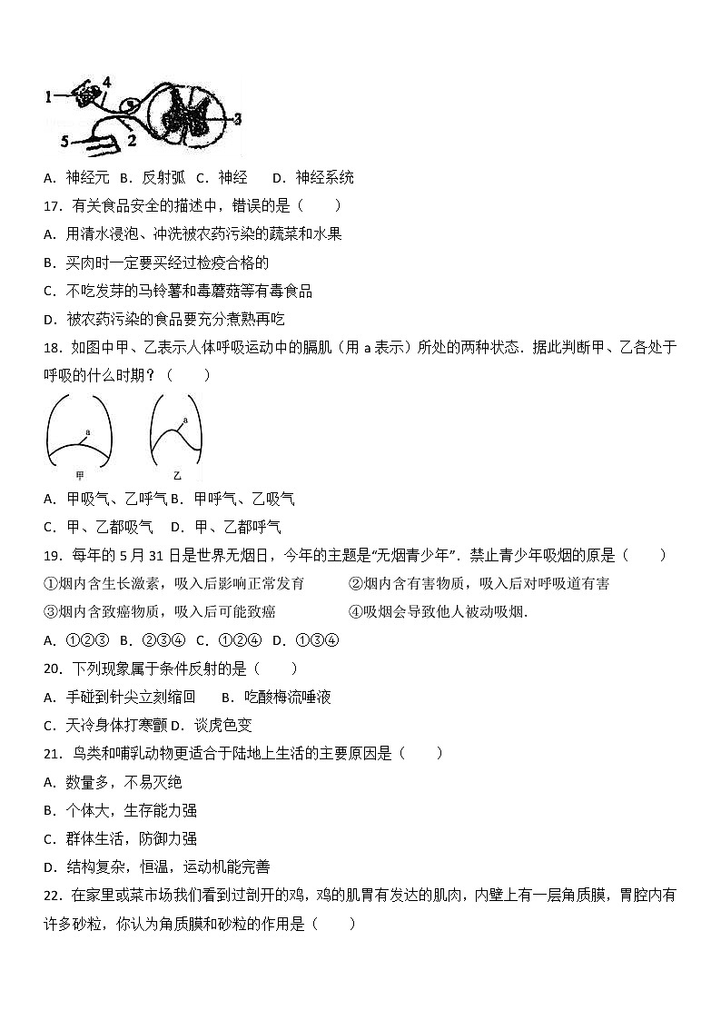 广东省汕头市潮阳区泉塘中学-学八级（下）期中生物试卷（解析版）第3页