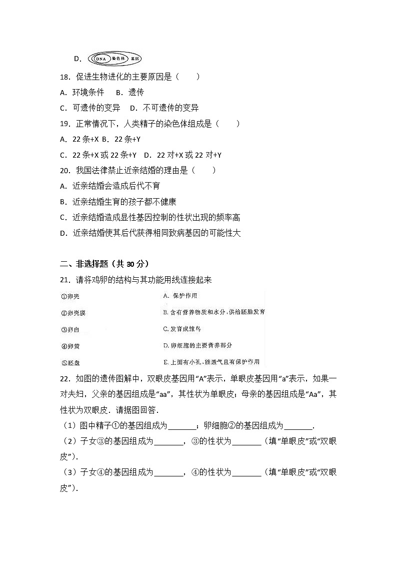 吉林省名校调研卷（省命题）-学八级（下）期中生物试卷（解析版）03