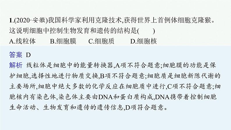 2021年中考生物总复习课件第三讲　细胞是生命活动的基本单位04