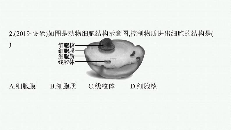 2021年中考生物总复习课件第三讲　细胞是生命活动的基本单位05