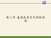 八年级生物下册教学课件-7.2.2基因在亲子代间的传递  (1)