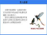 第三章 第二节 生物进化的历程 课件