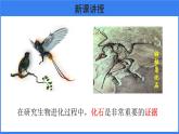 第三章 第二节 生物进化的历程 课件