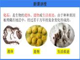 第三章 第二节 生物进化的历程 课件