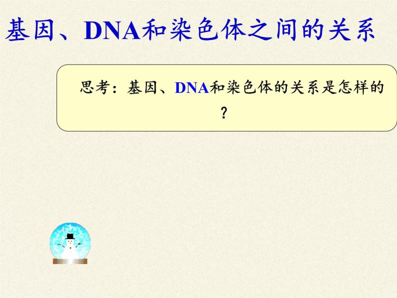 八年级生物下册教学课件-7.2.2基因在亲子代间的传递05