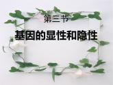 人教版八年级下册2.3基因的显性和隐性 课件