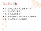 人教版生物八年级下册7.1.1植物的生殖 课件1