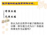 人教版生物八年级下册7.1.1植物的生殖 课件1