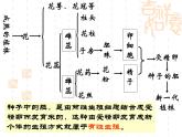 人教版生物八年级下册7.1.1植物的生殖 课件1
