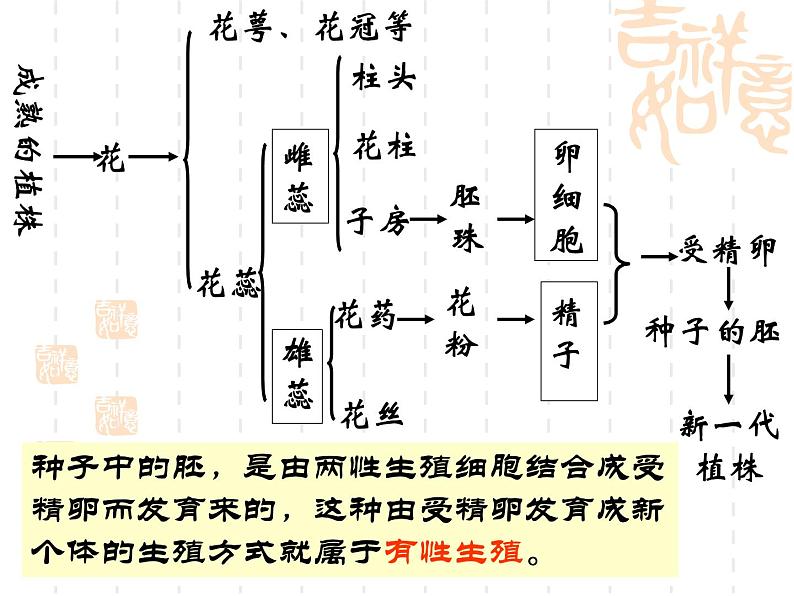 人教版生物八年级下册7.1.1植物的生殖 课件105