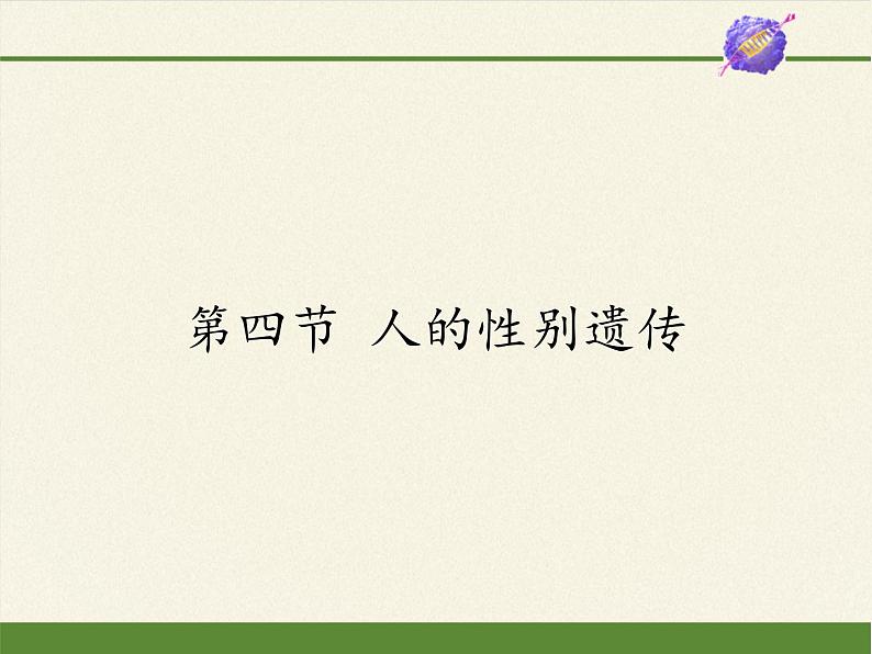 八年级生物下册教学课件-7.2.4人的性别遗传01