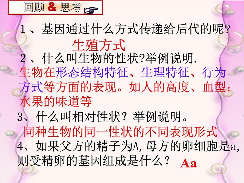 人教版八年级下册第七单元第二章第三节基因的显性和隐性 课件(25张PPT)02