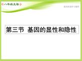人教版生物八年级下册7.2.3基因的显性和隐性课件