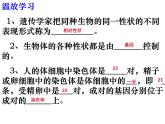 人教版生物八年级下册7.2.3基因的显性和隐性 课件