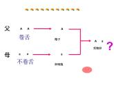 人教版生物八年级下册7.2.3基因的显性和隐性 课件