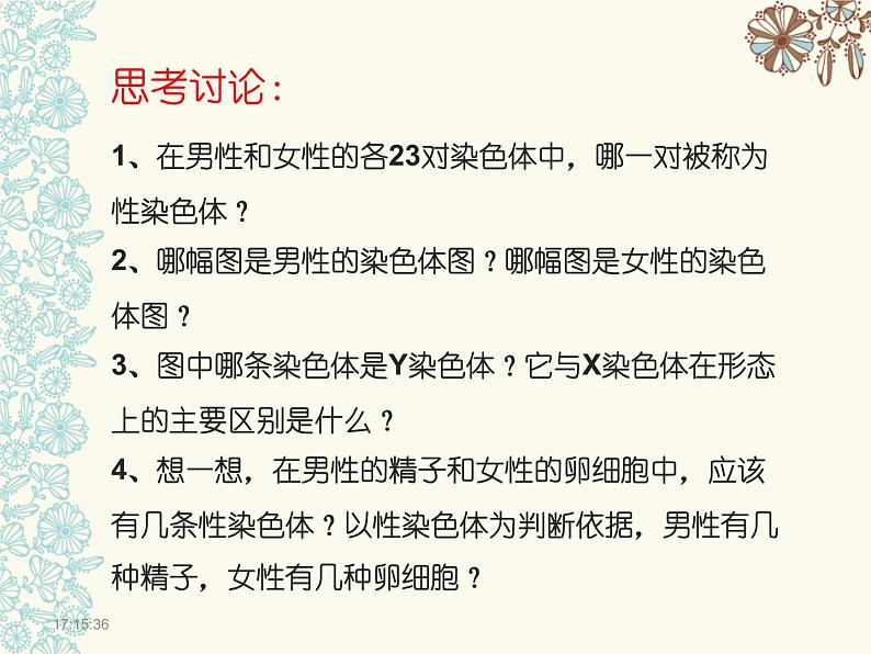 人教版生物八年级下册7.2.4人的性别遗传 课件第7页