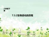 人教版生物八年级下册3.2《生物进化的历程》课件 (共29张PPT)
