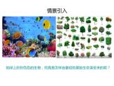 人教版生物八年级下册3.2《生物进化的历程》课件 (共29张PPT)