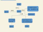 人教版八年级生物下册教学课件-7.2.2基因在亲子代间的传递