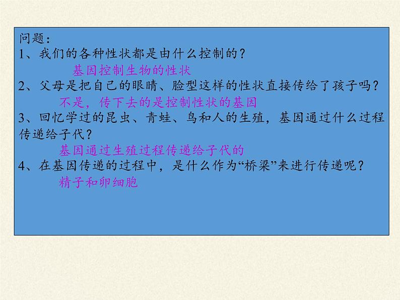 人教版八年级生物下册教学课件-7.2.2基因在亲子代间的传递04