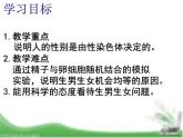 人教版生物八年级下册7.2.4人的性别遗传课件（课件24张）
