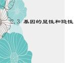 人教版八年级下册生物课件   7.2.3基因的显性和隐性