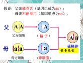 人教版八年级下册生物课件   7.2.3基因的显性和隐性
